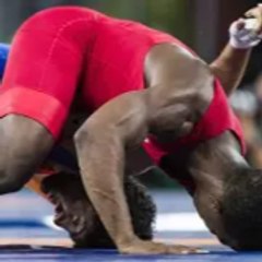 Wrestling and MMA Games