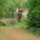 Vivien Gaetan