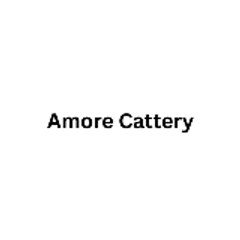 Amore Cattery