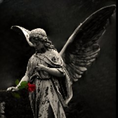 pro.amore.deum