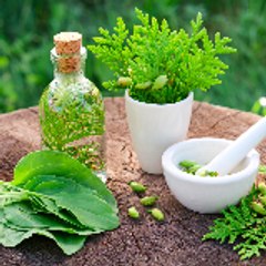 Herbal Products In Dubai