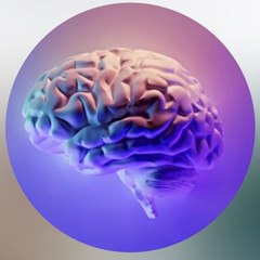 Courious mindset