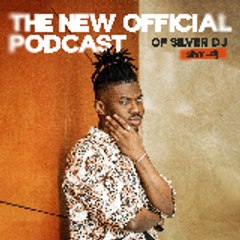 silverdj328