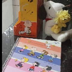 A TURMA Snoopy e Charlie Brown Dublado