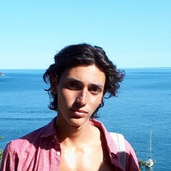 Ariel_ephraimi