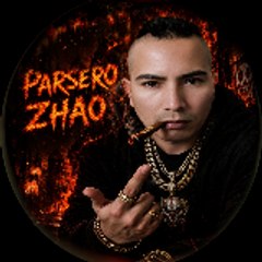 PARSERO ZHAO