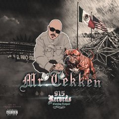 Mr. Tekken 915 Records