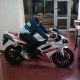 kamel
