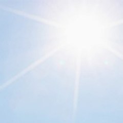 佛教視頻 Buddhist Videos