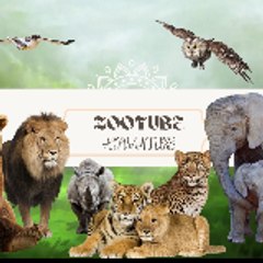 ZooTube Advanture
