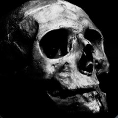 Adrenaline Rush Reviews