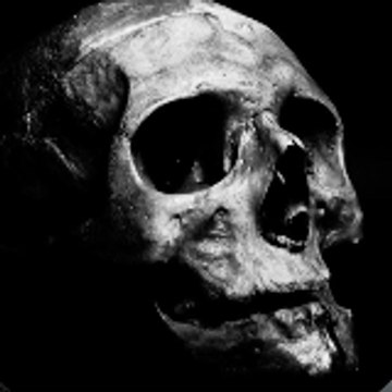 Adrenaline Rush Reviews