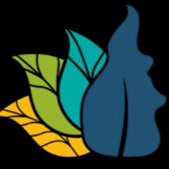 REDD Jurisdicional do Tocantins