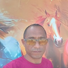 Wilis Laya
