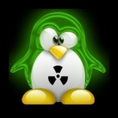 Petit_Pingouin_Killer