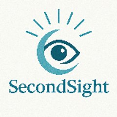 SecondSight公式