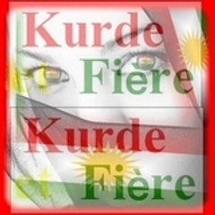 kocak