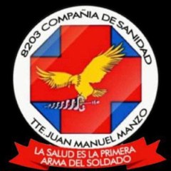 8203 Compañía aislada De sanidad