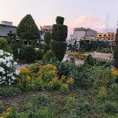 The world of agriculture and rare plants