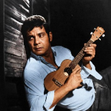 Mike David ['Ukulelist]