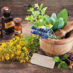 Herbal Products