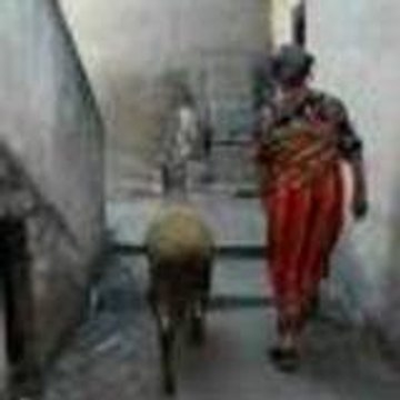 SANDRAK06
