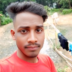 Krishna Mandi