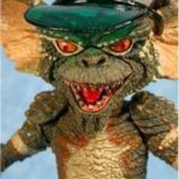 El Ragondin