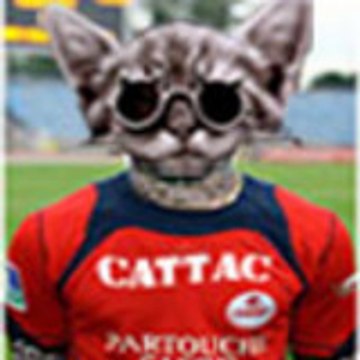 cattacwearepes