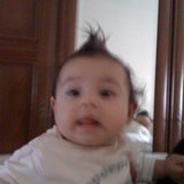 RHBOY