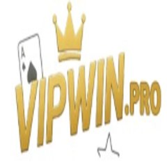 Vipwin pro