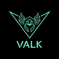 VALK GAMING