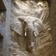 alexc.asj724