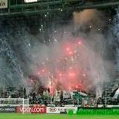 Anti-lyonnais-74