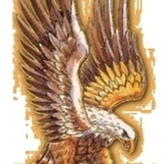 Águia Dourada
