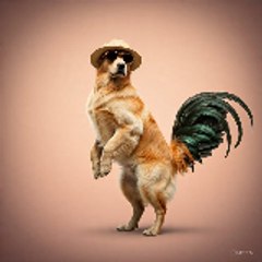 Chiken_dog2.0