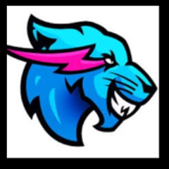 mrbeast902