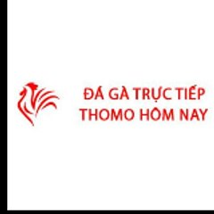 Đá gà Thomo