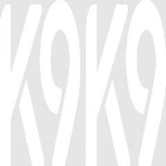 K9K9