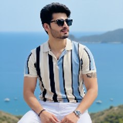 Gull Vision Official