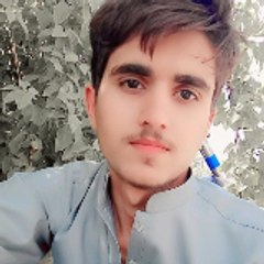 Zainulabidien zainu-dkp126