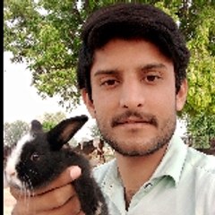 inzamamulhaq164