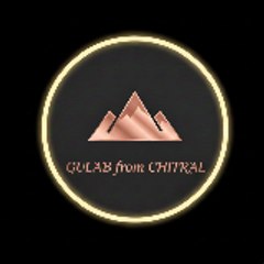 GuLABfromchitral🏔