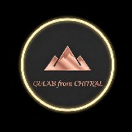 GuLABfromchitral🏔