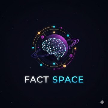 Fact Space