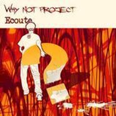 Why Not Project