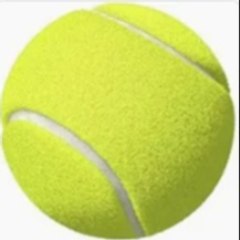 tennisPro