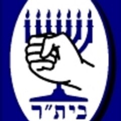 world zionist youth movement