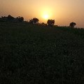Sindhi song