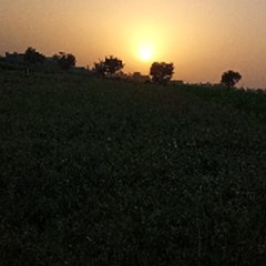 Sindhi song